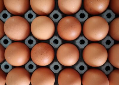 Brown eggs in egg trays